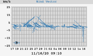 Wind Vector