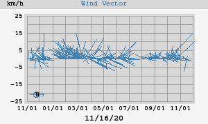 Wind Vector